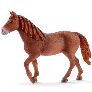 Schleich - Kůň, Morganská kobyla