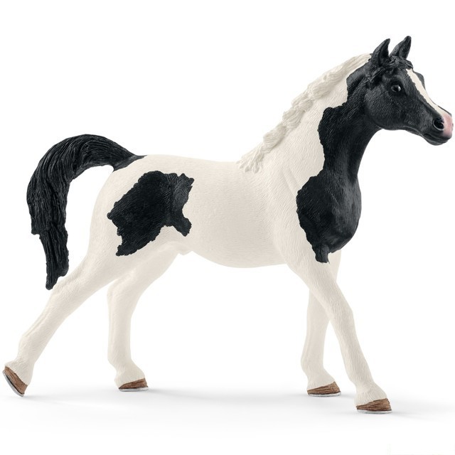 Schleich - Kůň, Pintabianský hřebec