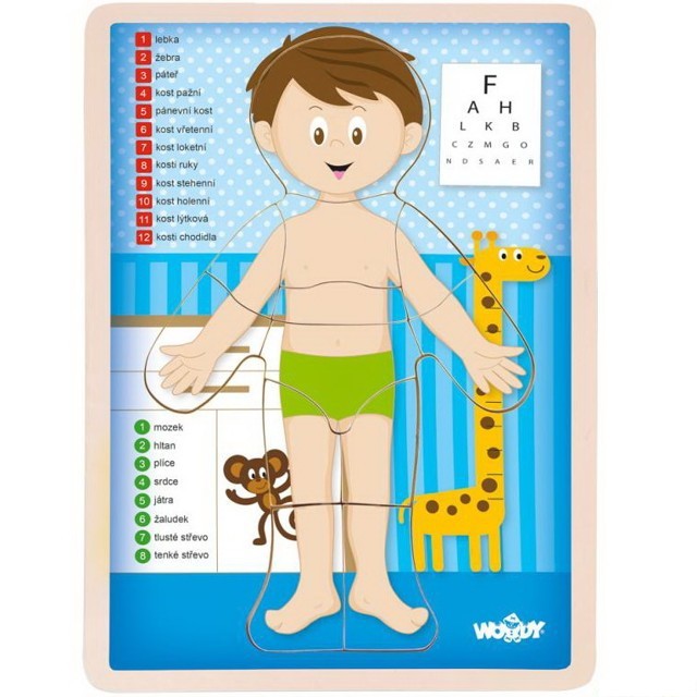Puzzle výukové - Anatomie, Lidské tělo kluk CZ (Woody)
