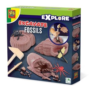 SES Vykopávky fosilií