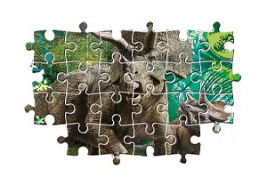 Clementoni Puzzle 3x48 dílků - Jurský svět