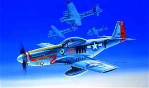 Academy Model Kit letadlo 12485 - P-51D (1:72)