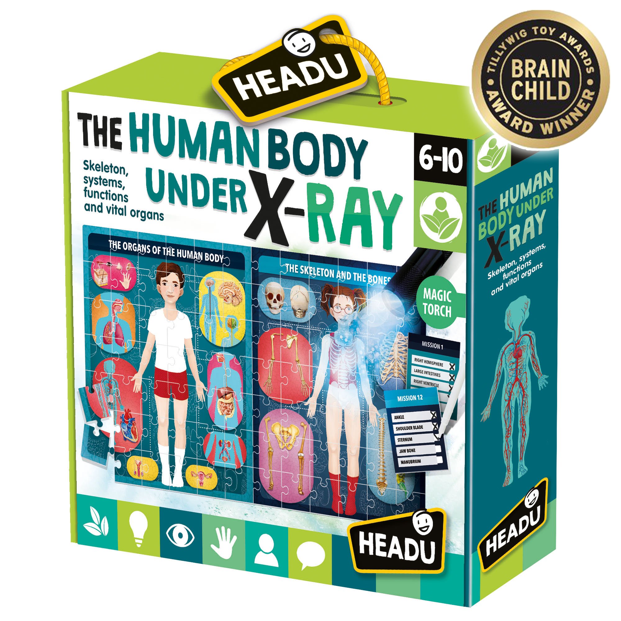 HEADU EN: Lidské tělo pod rentgenem