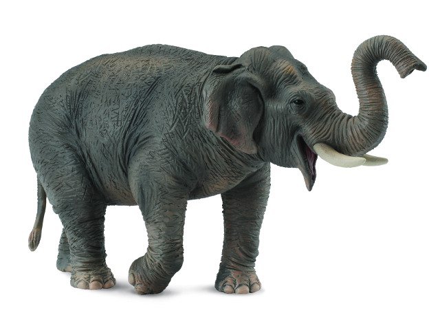 Collecta zvířátka collecta Slon asijský