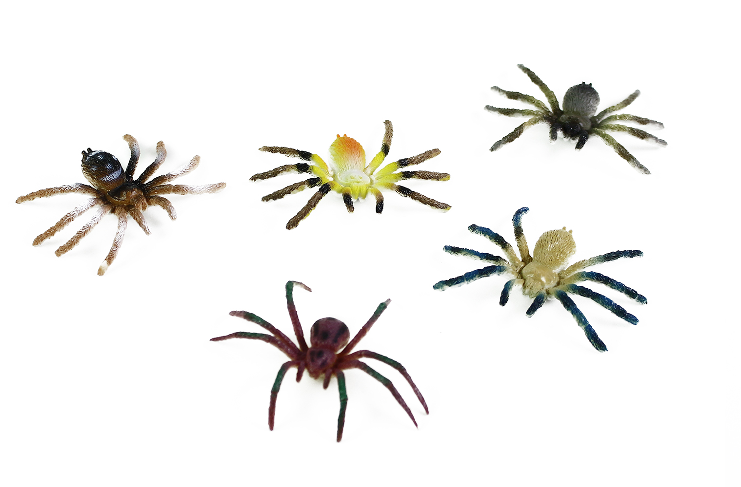 Rappa Pavouci 5 ks v sáčku 2 druhy