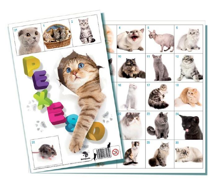 Bonaparte Pexeso Kočky společenská hra 32 obrázkových dvojic