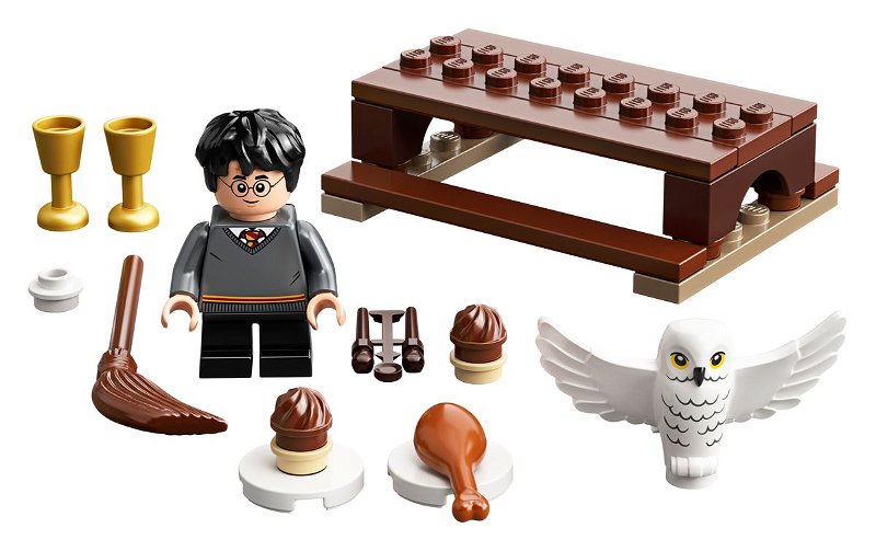 LEGO Harry Potter 30420 Harry Potter a Hedwika: Sobí doručení (polybag)