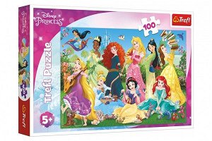 Trefl Puzzle Půvabné princezny/Disney 100 dílků 41x27,5cm v krabici 29x19x4cm