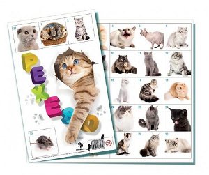 Bonaparte Pexeso Kočky společenská hra 32 obrázkových dvojic skladem