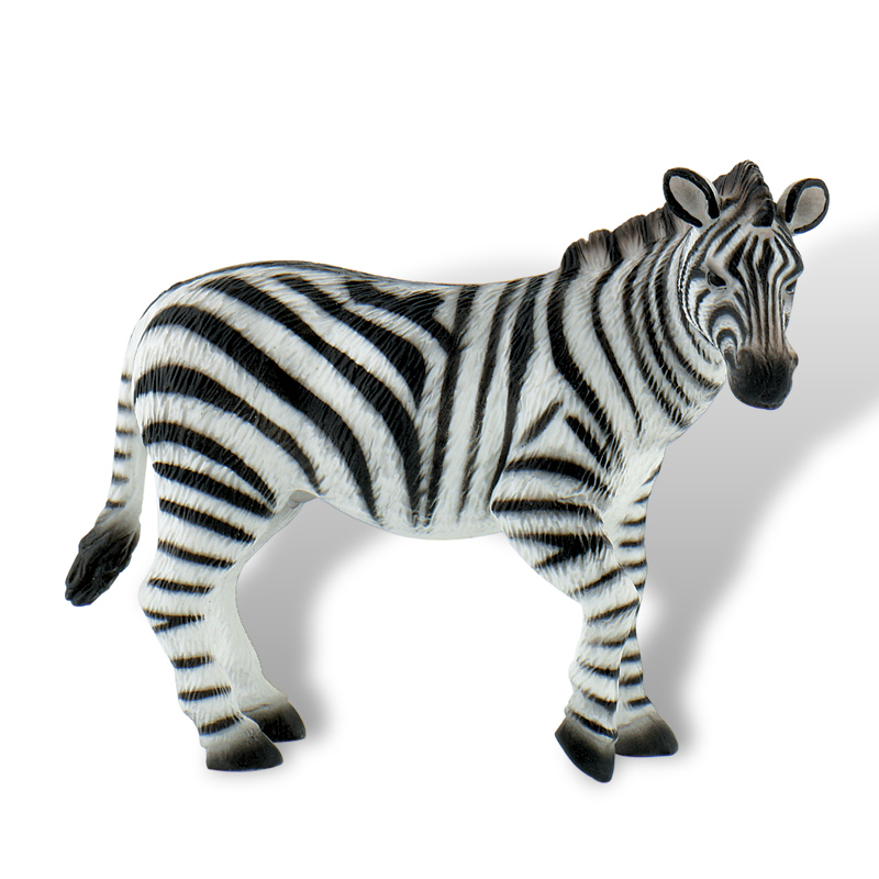Sparkys Zebra