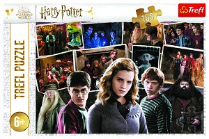 Trefl Puzzle Harry Potter a přátelé 160 dílků