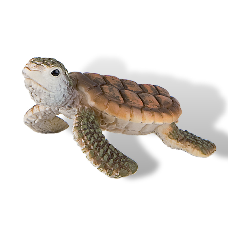 Sparkys Mořská želva mládě