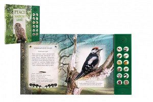 Albatros Zvuková knížka Ptáci našich lesů na baterie 22,5x21cm CZ text