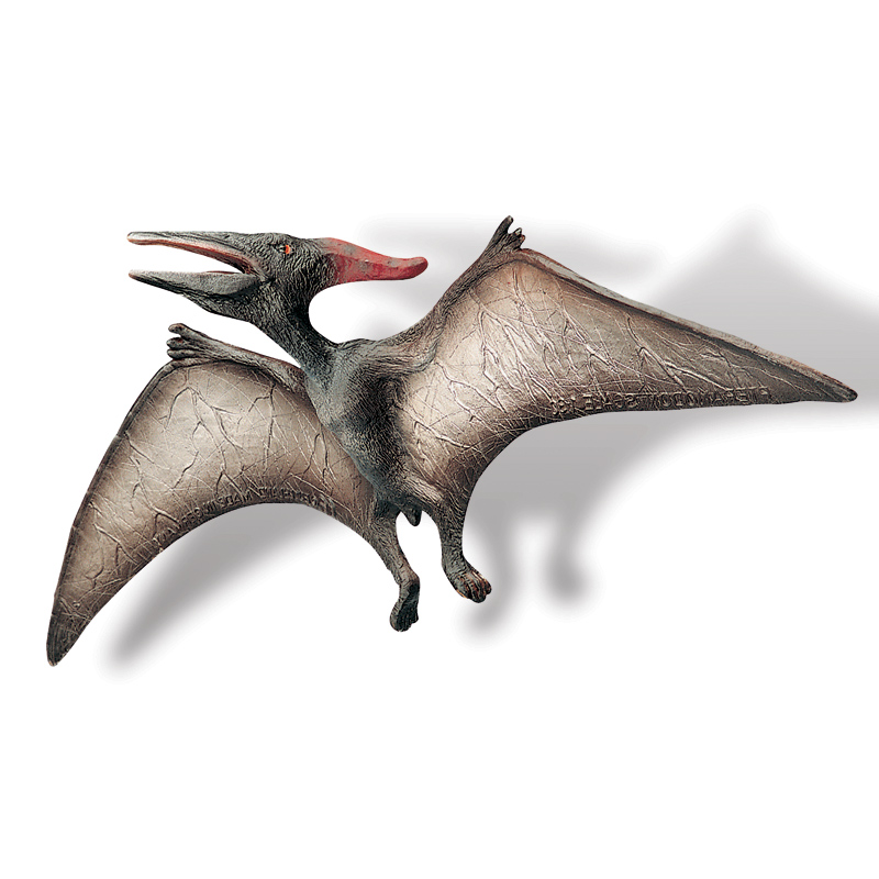 Sparkys Pteranodon Museum Line