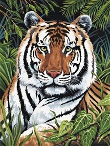 Royal Langnickel Malování obrázků podle čísel - Tygr v trávě, 22x30 cm
