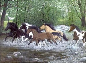 Royal Langnickel malování podle čísel - Koně běžící vodou 40x30 cm