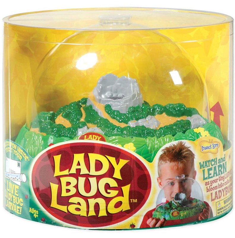Insect Lore Bug Land, Pozorovatelna brouků