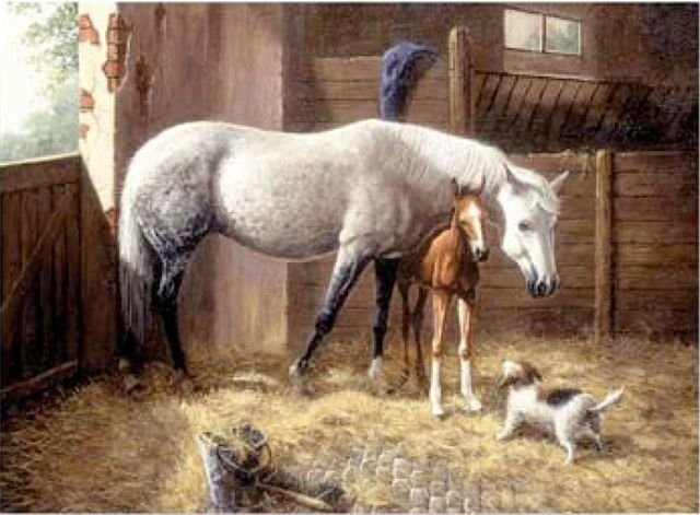 Royal Langnickel malování podle čísel - Koně ve stáji 40x30 cm