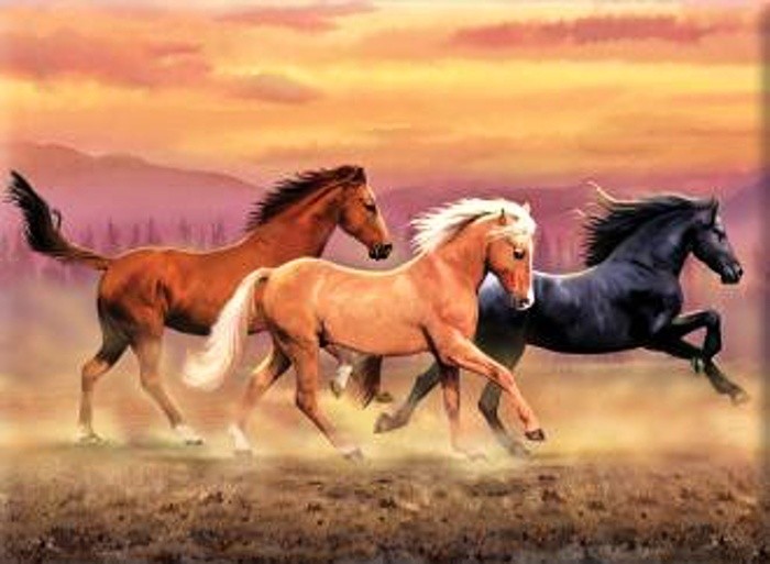 Royal Langnickel malování podle čísel - Běžící koně, 40x30 cm
