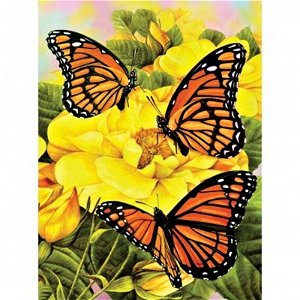 Royal Langnickel Malování obrázků podle čísel - Motýlci 22 x 30 cm
