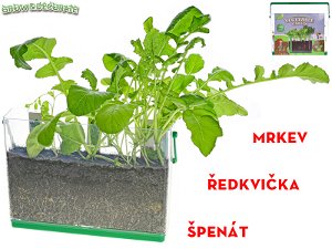Mikro trading Grow&Decorate - Vypěstuj si svou zahrádku - 3 druhy sazenic s hlínou