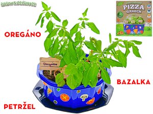Mikro trading Grow&Decorate - Vypěstuj si bylinky na pizzu - 3 druhy v PVC květináči