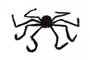 Teddies Pavouk velký - 125 x 8 cm