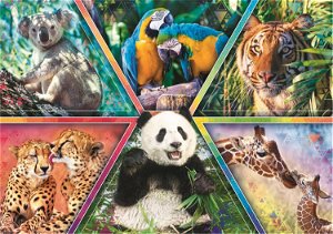 TREFL Puzzle Animal Planet: Království zvířat 1000 dílků