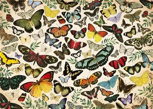 JUMBO Puzzle Plakát s motýly 1000 dílků