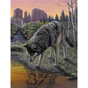 Malování podle čísel Vlk