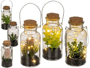 Popron Dekorativní rostlina  se světýlky ve sklenici
