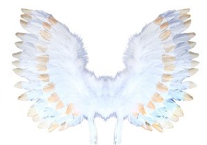 RAPPA Andělská křídla s peřím bílo-zlatá