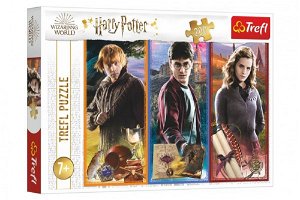 Trefl Puzzle Ve světě magie a čarodějnictví/Harry Potter 200 dílků 48x34cm v krabici 33x23x4cm