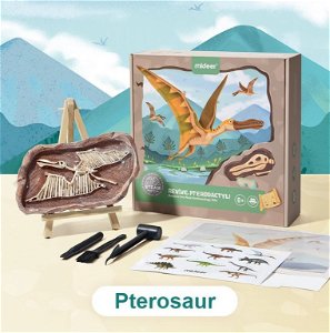 MiDeer Vykopávání dinosaurů Pterosaurus MD0176