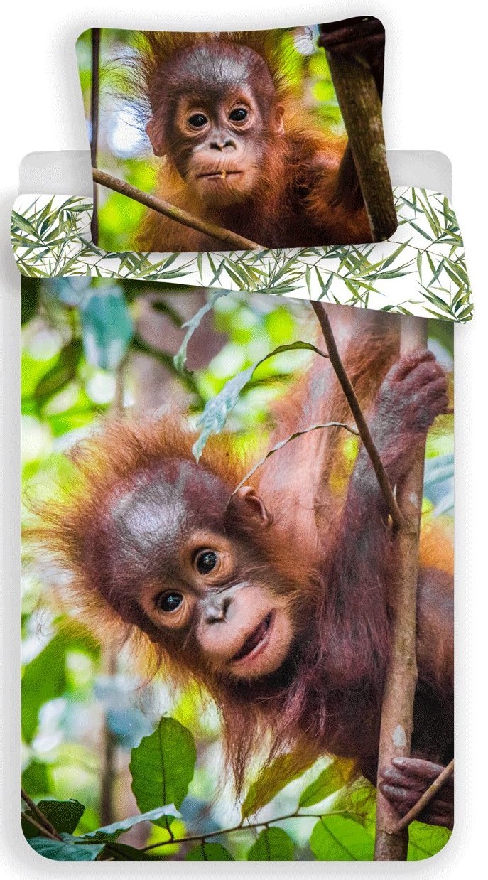 Jerry Fabrics Povlečení fototisk Orangutan 02 140x200, 70x90 cm 01202-0000ORAN02A