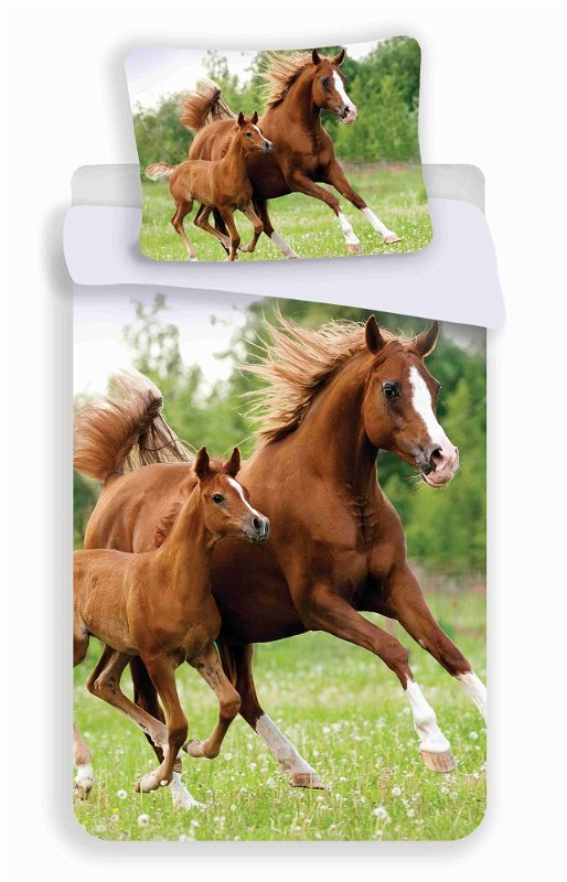 Jerry Fabrics Povlečení fototisk Horse 04 140x200 70x90 01202-KOCKAKHORSA
