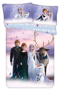 Jerry Fabrics povlečení Disney Frozen Elements 145 100x135 cm 40x60 cm 00145-DOPFROZELEA