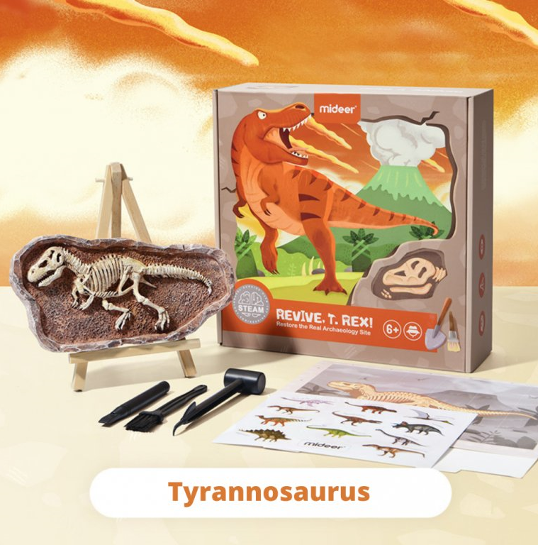 MiDeer Vykopávání dinosaurů Tyranosaurus MD0175