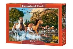 CASTORLAND  puzzle Koně běžící ve vodě 1000 dílů