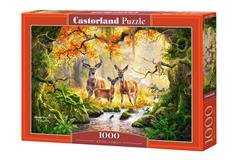 Puzzle Castorland 1000 dílků - Jelení rodinka