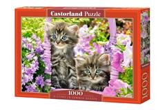 Puzzle Castorland 1000 dílků Koťata v zahradě