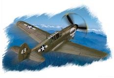 Hobby Boss slepovací model P-40N "warhawk" 1:72