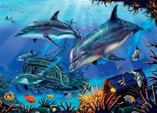 Puzzle Jumbo - Delfíni 1000 dílků